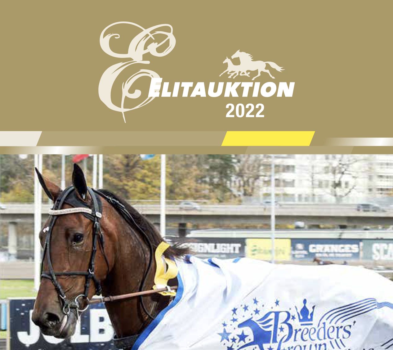 Elitauktion 2022!